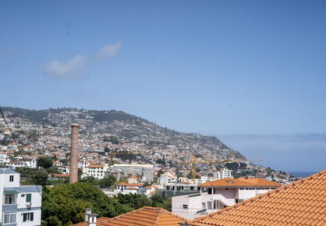 House in Funchal - Casa do Moinho by Mill Escapes