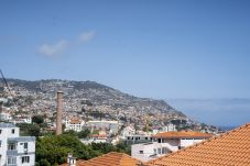 House in Funchal - Casa do Moinho by Mill Escapes